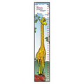 Giraffe Growth Chart